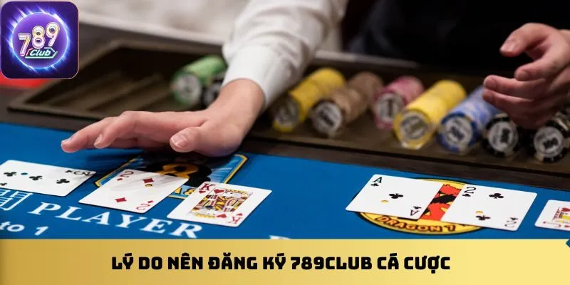 ly-do-nen-dang-ky-789club-ca-cuoc